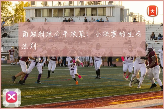 葡超财政公平政策：小联赛的生存法则