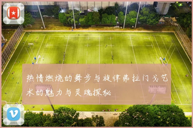 热情燃烧的舞步与旋律弗拉门戈艺术的魅力与灵魂探秘