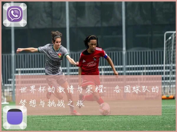 世界杯的激情与荣耀：各国球队的梦想与挑战之旅