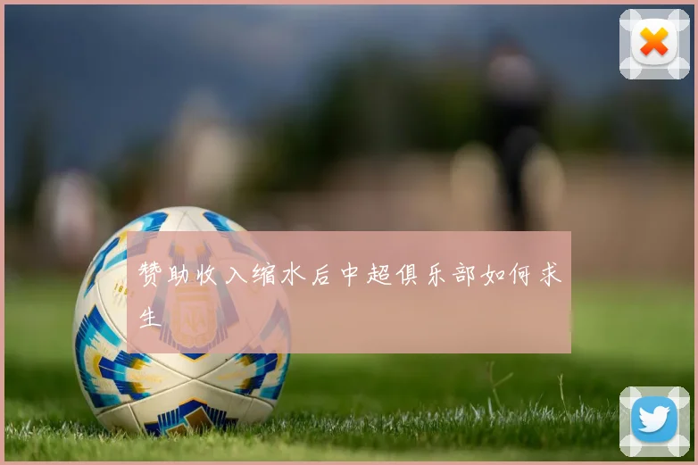 赞助收入缩水后中超俱乐部如何求生