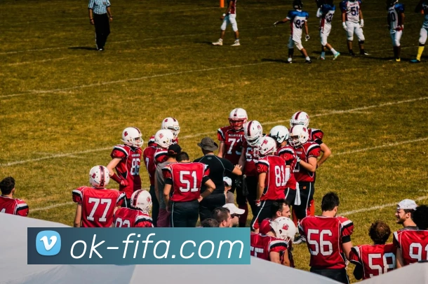 世界杯FIFA平台生态图